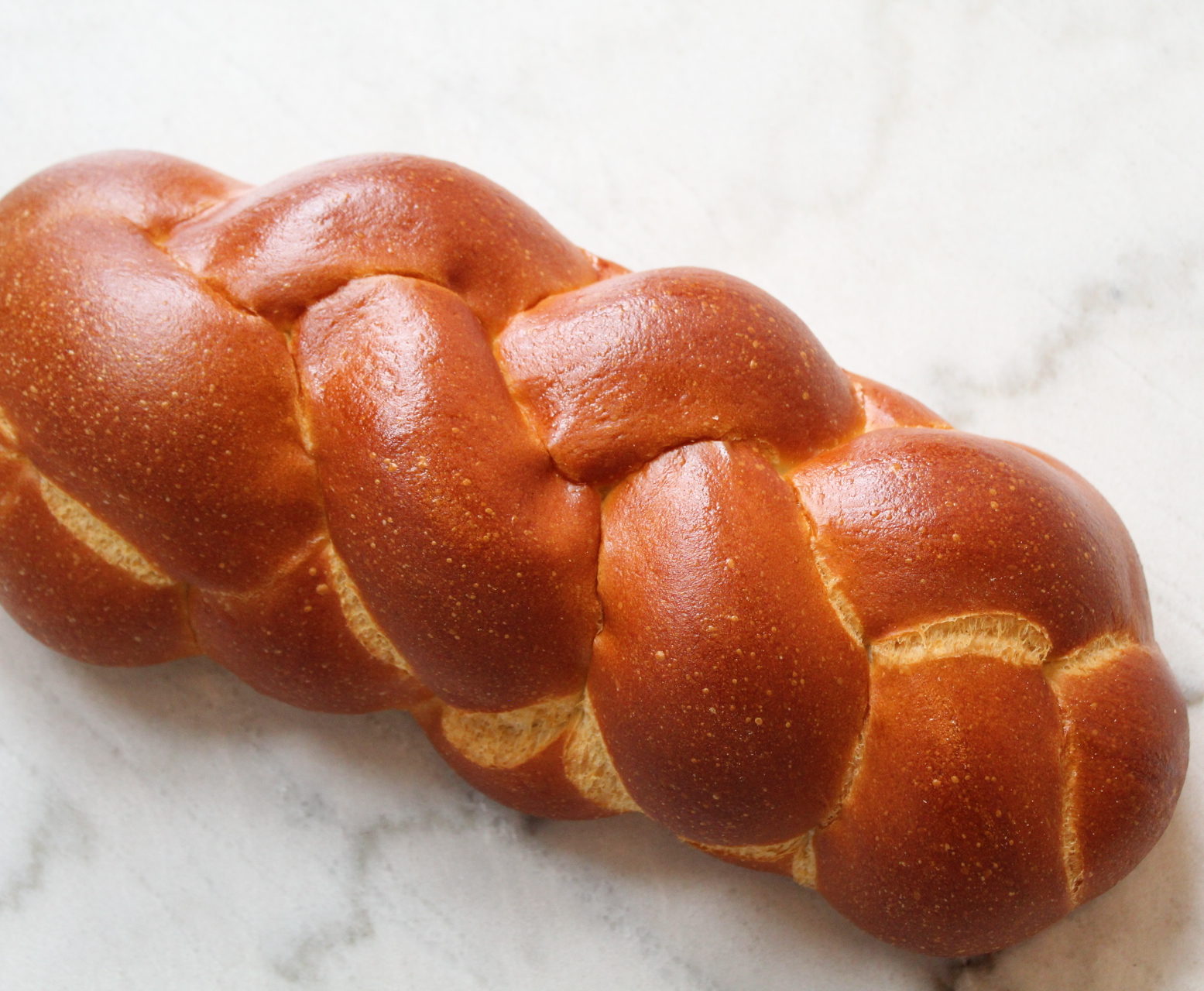 Challah bread Seven stars bakery