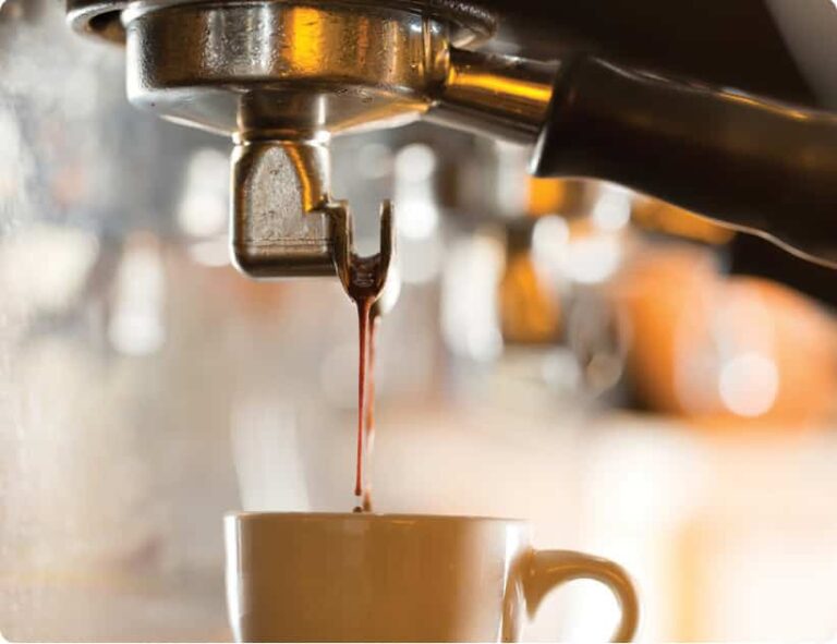 SEVEN STARS BAKERY LOYALTY PROGRAM TERMS visual data 7