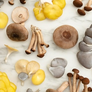 RI Mushroom Company supplies our mushrooms