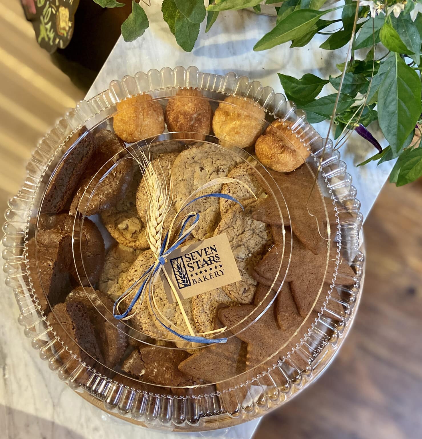 SEVEN STARS BAKERY LOYALTY PROGRAM TERMS visual data 8